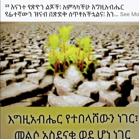 Meet your Posher, Ruth - Picture 1 of 1